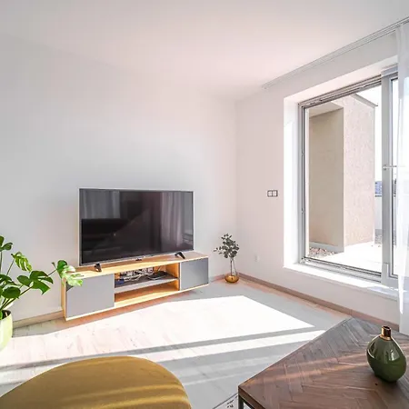 Grunt Mladá Boleslav