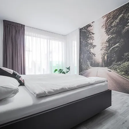 Grunt * Mladá Boleslav