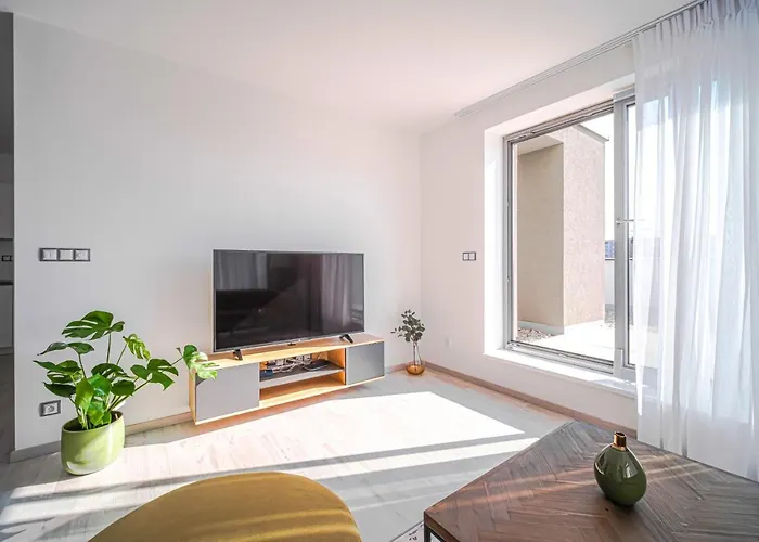 Grunt Mladá Boleslav